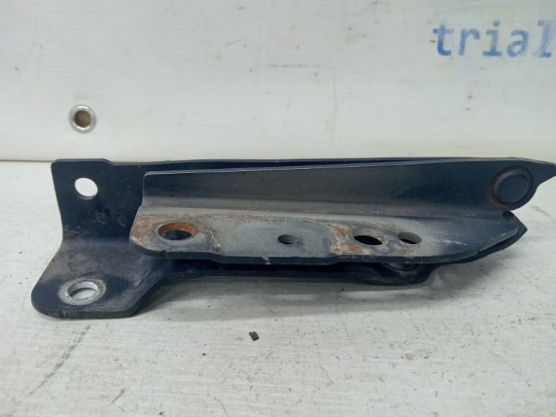 Петля капота правая SsangYong Rexton Y250 2.7 D27DT 2006 (б/у) Киев - изображение 5