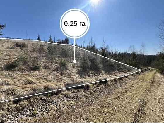 Земельна ділянка в Яблуниці 0.25 га Яремче