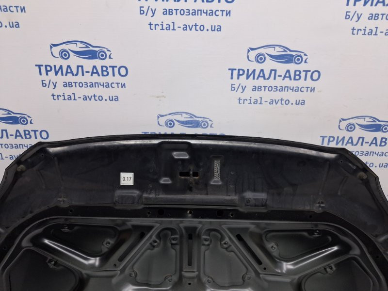 Капот SsangYong Korando C200 2.0 DIESEL D20DT 2010 (б/у) Київ - зображення 10