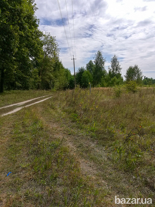 Продам ділянку 3,7 га ОСГ в смт.Макарів Макарів - зображення 6