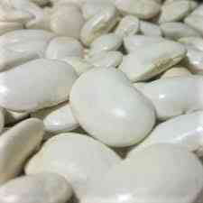 Продаємо насіння квасолі з доставкою по Україні Чернівці