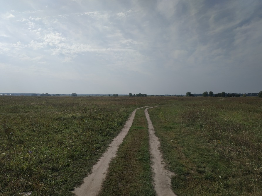 Продаж землі сільськогосподарського призначення (32 км від Києва) Київ - зображення 4