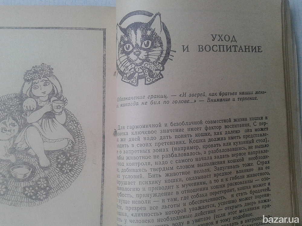 "КОШКИ" (авт.В.Андреев) Нікополь - зображення 7