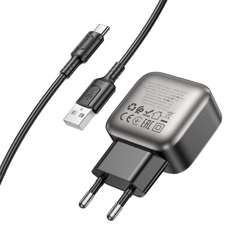 СЗУ Borofone BAS51A Absolute 12W (2USB-A) + кабель USB to Type-C Херсон - зображення 1