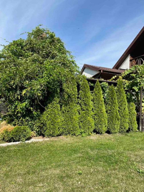 Продам уютную дачу на р. Днепр пос.Диброва. Дніпро - зображення 2