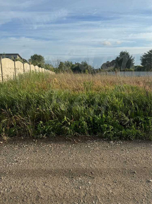 продажа участок под жилую застройку Бориспольский, Великая Александровка, 26000 $  - зображення 1