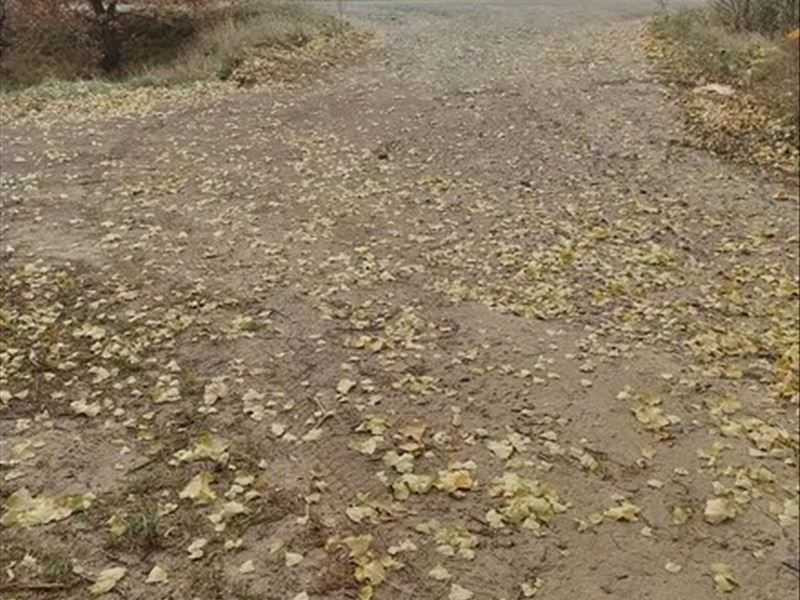 продажа земля сельскохозяйственного назначения Макаровский, Наливайковка, 404888 грн.  - изображение 2