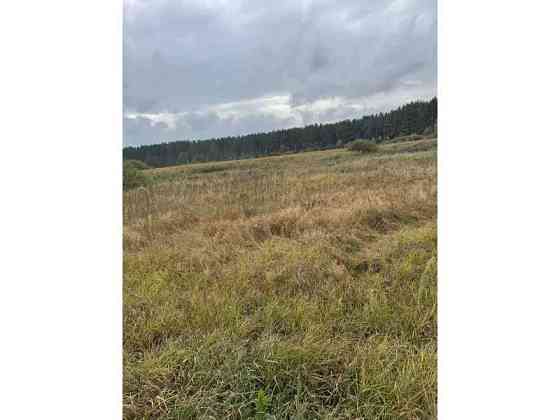 продажа земля сельскохозяйственного назначения Вышгородский, Литвиновка, 341828 грн. 