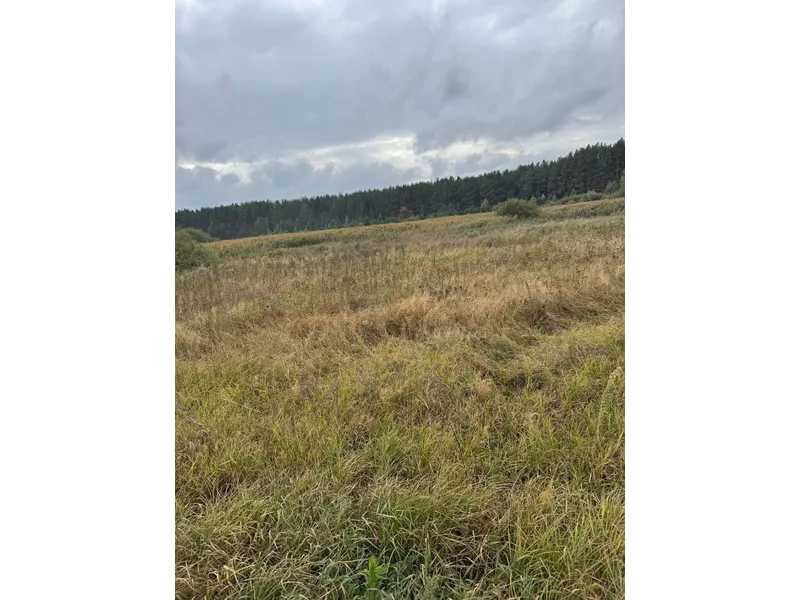 продажа земля сельскохозяйственного назначения Вышгородский, Литвиновка, 341828 грн.  - изображение 6