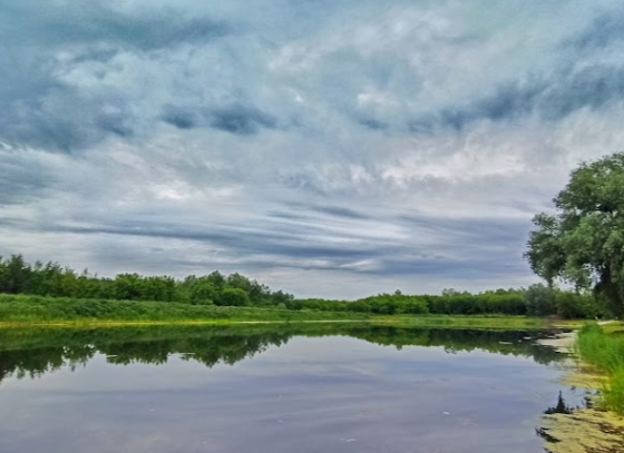 Ділянка 10 соток біля озера в Старих Безрадичах! Ідеально під забудову Київ