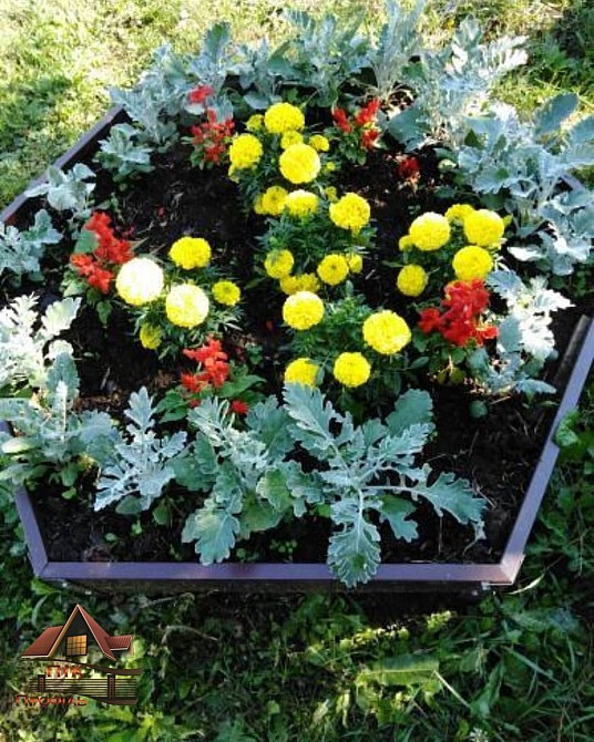 Висока насипна клумба, грядка, збірна грядка Київ - зображення 3