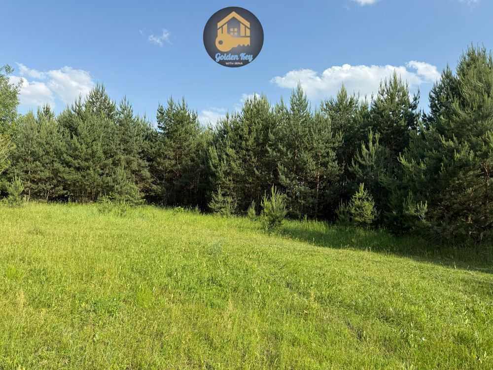 продажа земля сельскохозяйственного назначения Бориспольский, Гнедин, 90000 $  - изображение 3