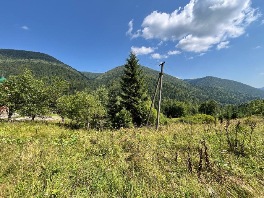 Земельна ділянка в Татарові біля водоспаду Гук 0.25 га Яремче - зображення 7