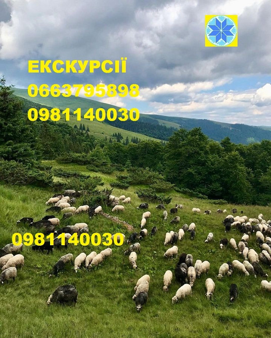 джип-тури Карпати, активний відпочинок у Карпатах, гірські пригоди, джипінг Яремче, тури на джипах. Яремче - зображення 5
