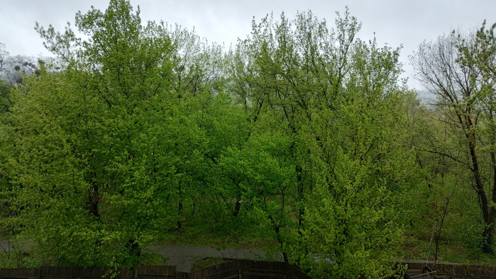 Продам квартиру по вул. Новоукраїнська, 6.Метро Сирець, Дорогожичі, 1 кімн. кв-ра. Без % Київ - зображення 10