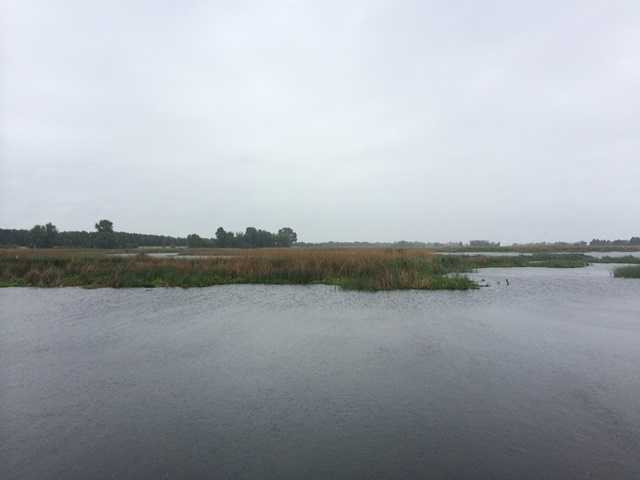 продажа участок под жилую застройку Бориспольский, Процев, 192000 $  - зображення 1