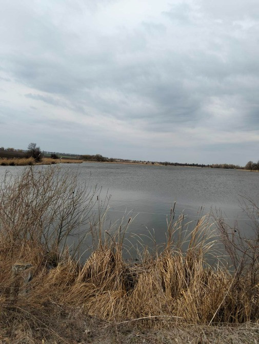 Продається земельна ділянка біля водойми та лісу Біла Церква - зображення 2