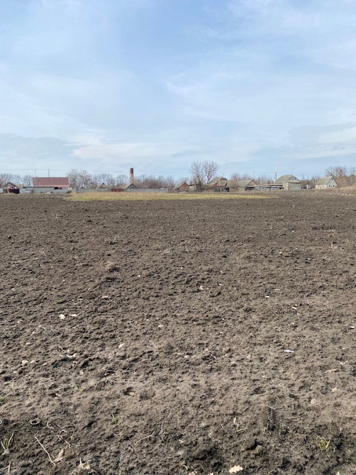 Продам земельну ділянку сел. Шаровка Богодухівський район Богодухов - изображение 2