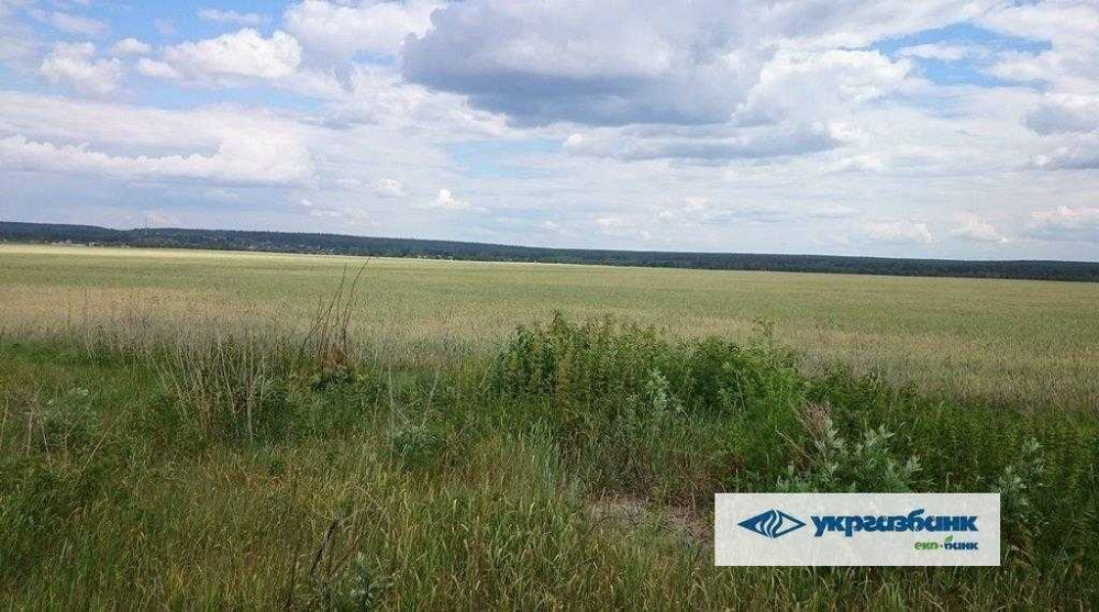 продажа земля сельскохозяйственного назначения Макаровский, Мостище, 1339000 грн.  - зображення 6