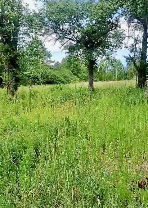 продажа 3-к дом Вышгородский, Жукин, 21000 $  - изображение 1