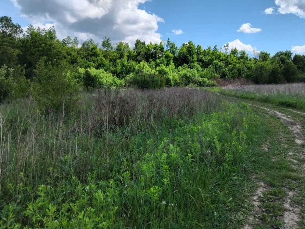 продажа земля коммерческого назначения Свалявский, Свалява, 74850 $ Свалява - зображення 7