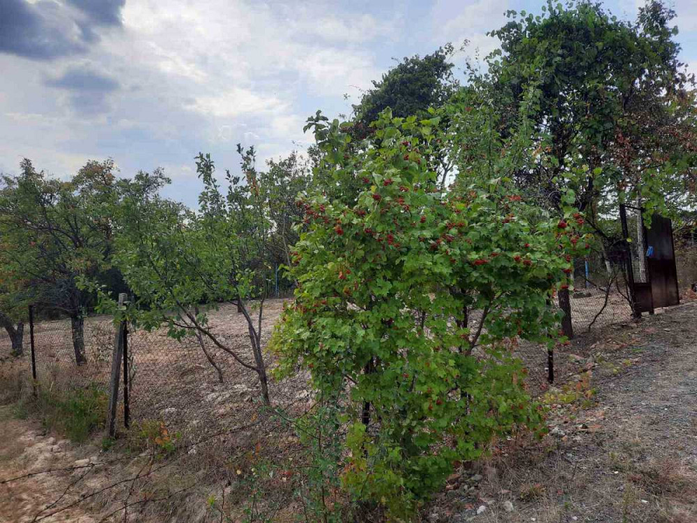 продажа участок под жилую застройку Ужгород, 13500 $ Ужгород - зображення 3