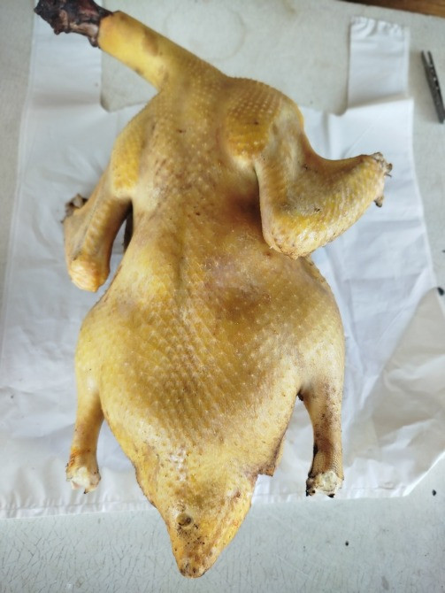 Продам тушки домашніх утей Кролевец - изображение 1