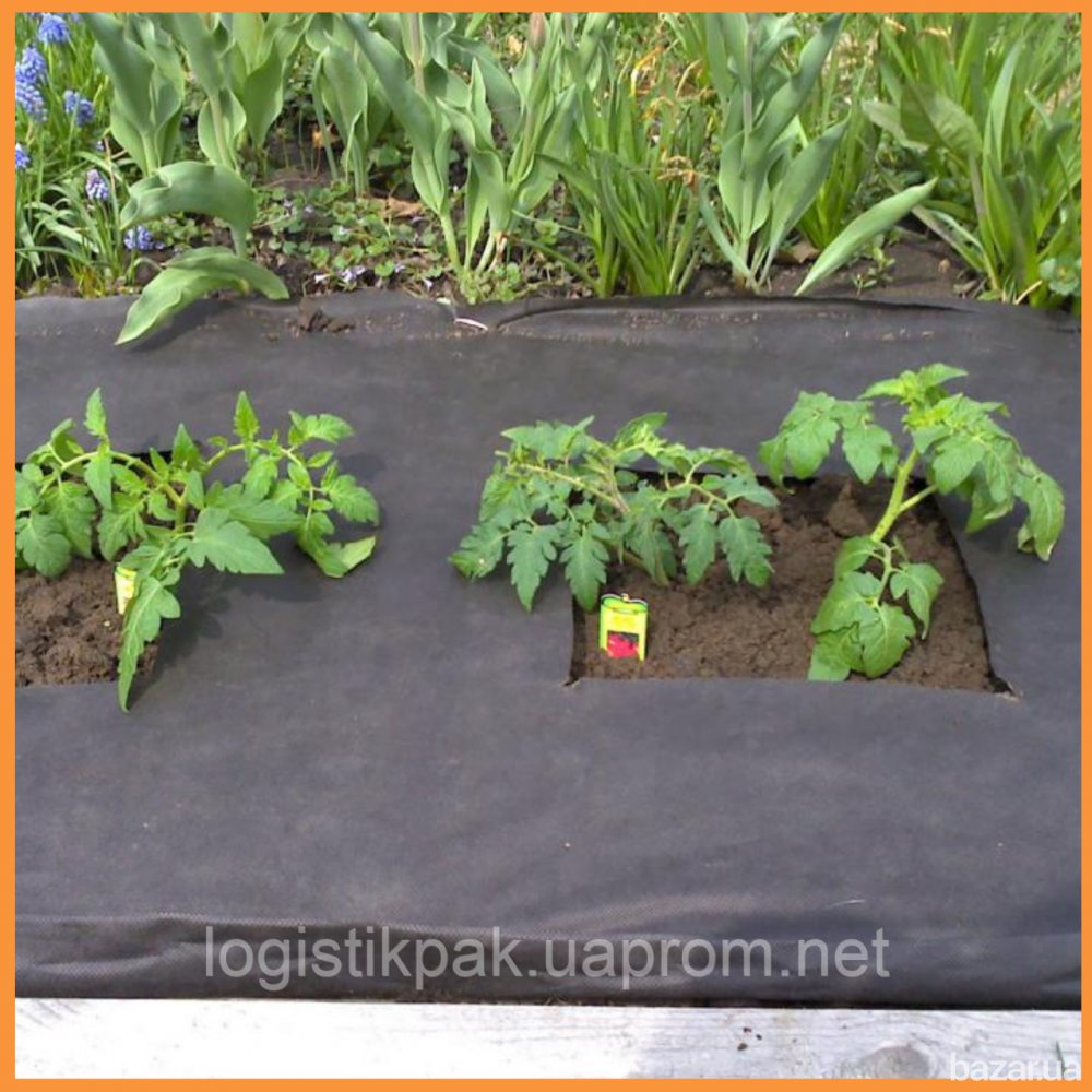 Агроволокно  черное 90г/м²|3.2х50м Харьков - изображение 4