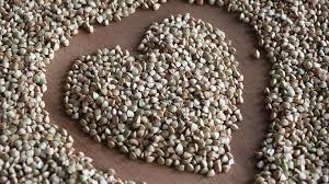 Зерно гречки від виробника. Доставка або самовивіз Ужгород - зображення 1