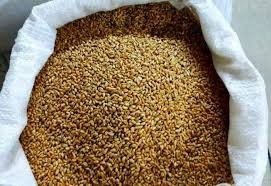 Купуємо зерновідходи, некондицію з самовивозом Полтава - изображение 1