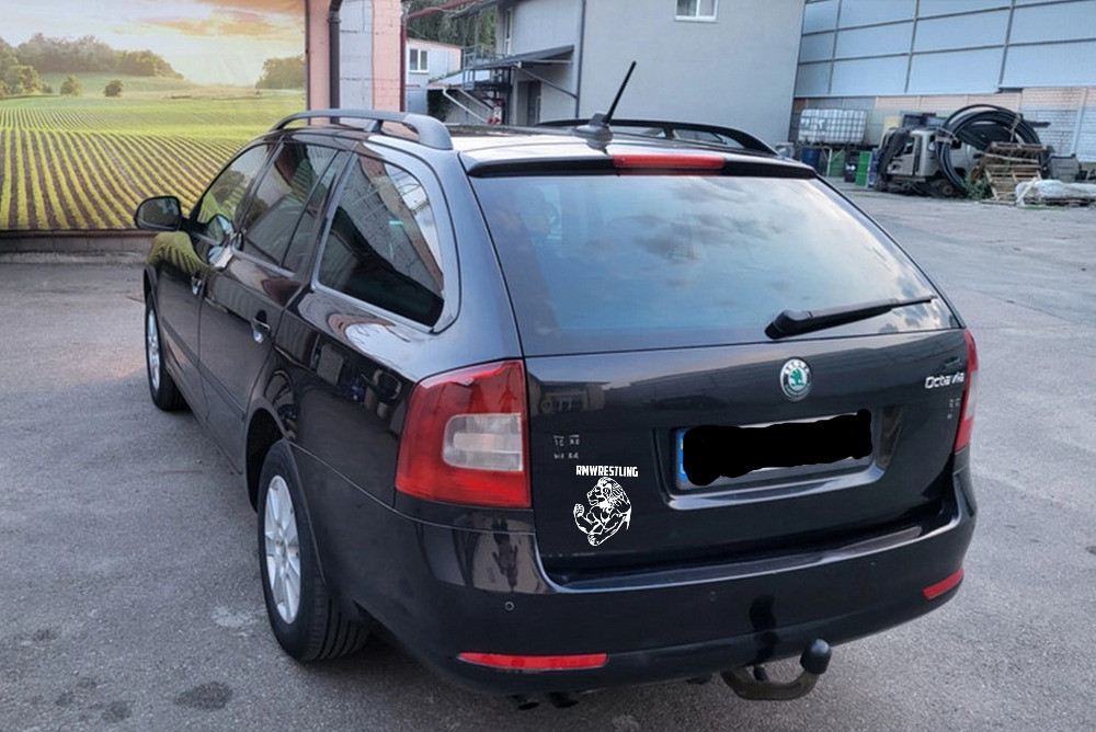 Наклейка Лев rmwrestling Белая на авто Киев - изображение 3