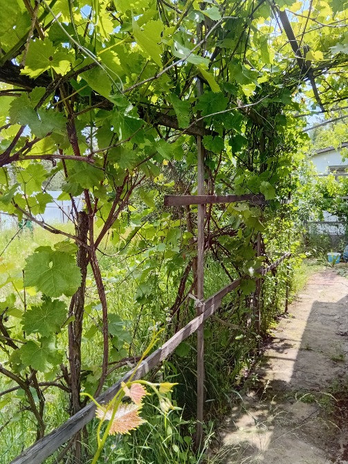 Продам новий будинок поруч з Києвом Киев - изображение 5