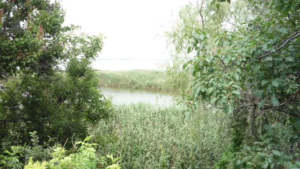 Продам. Будинок 179 м.кв. 18 сот. Одинківка, вул.Орлинна Дніпро - зображення 8