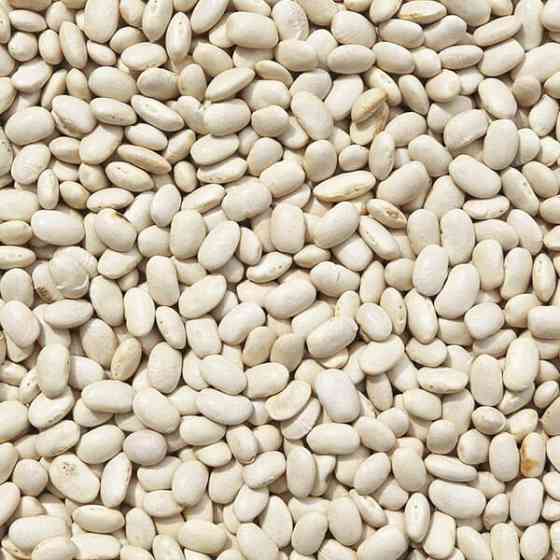 Постійно купуємо квасолю Днепр