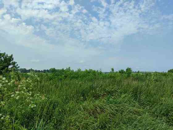 продажа земля сельскохозяйственного назначения Бородянский, Озера, 16265154 грн. 