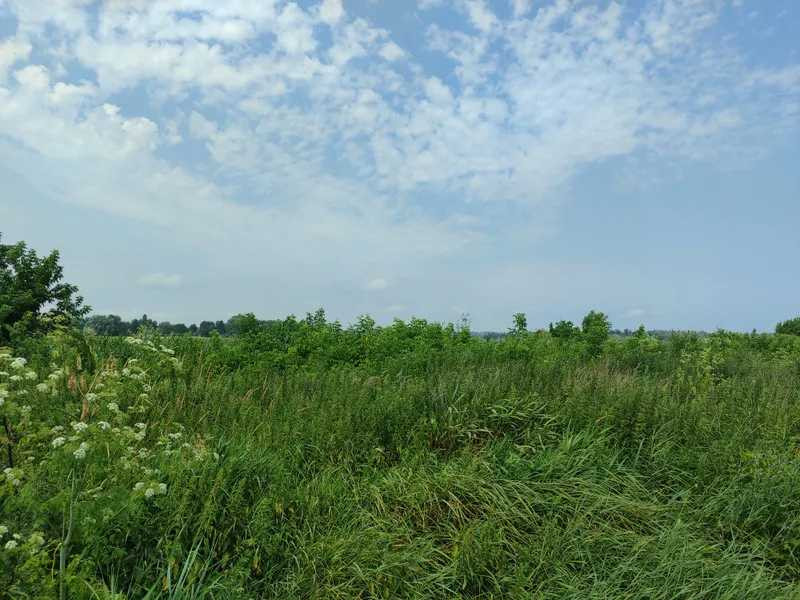 продажа земля сельскохозяйственного назначения Бородянский, Озера, 16265154 грн.  - зображення 1