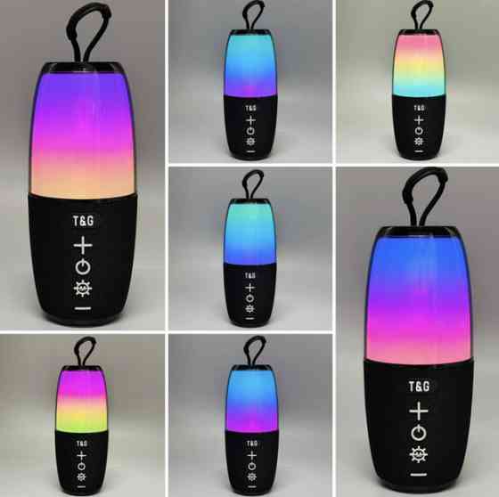 Колонка портативная Bluetooth T&G TG644 black черная Київ