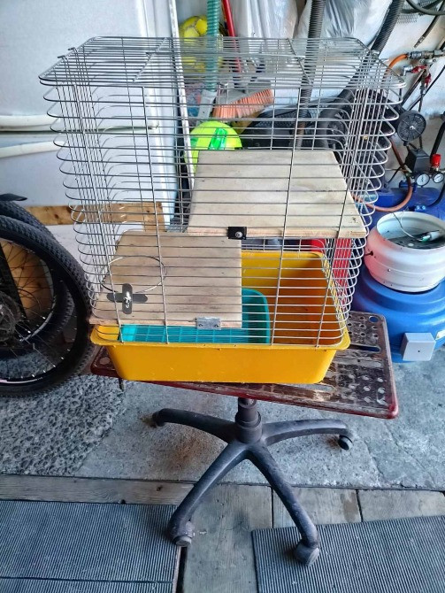 Продам велику клітку для тваринок Київ - зображення 4