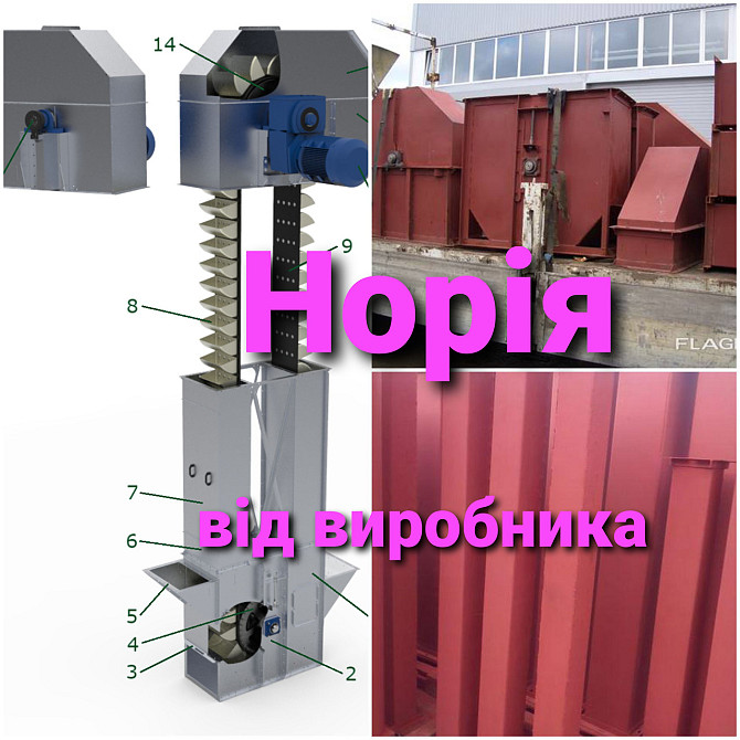 Норія стрічкова (НЦ-Н-НКЗ) 250 т/ч. Норія. Стрічкова норія. Зернова норія. Нория. Київ - зображення 12
