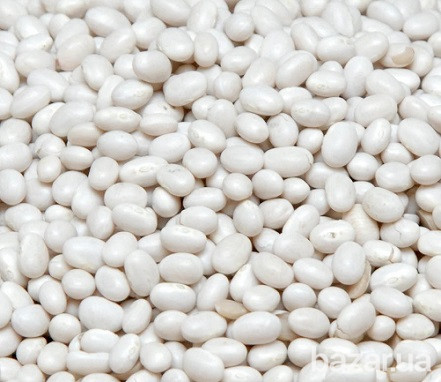 Фасоль белая на переработку куплю Запорожье - изображение 1