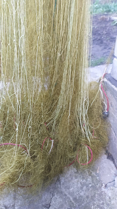 Продам риболовну сітку Фастів - зображення 1