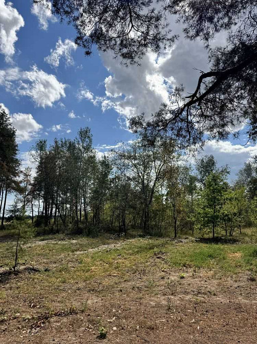 продажа участок под жилую застройку Новомосковский, Песчанка, 12500 $  - изображение 8