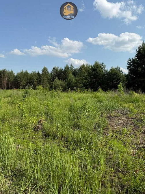 продажа земля сельскохозяйственного назначения Бориспольский, Гнедин, 90000 $  - зображення 8