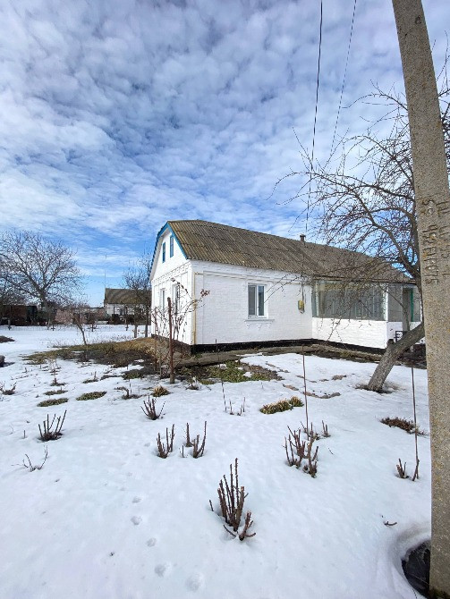 Продаж будинку с. Піщана. Белая Церковь - изображение 4