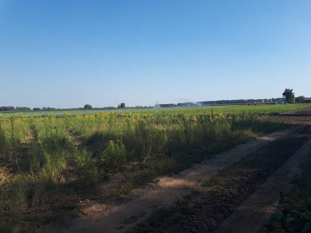 продажа земля сельскохозяйственного назначения Бориспольский, Сеньковка, 1302000 грн.  - изображение 3