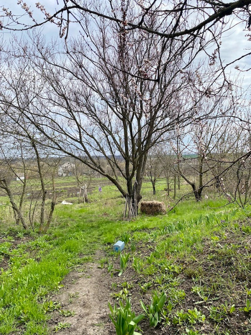 Продам будинок с. Куп’єваха Богодухівський район Богодухів - зображення 12