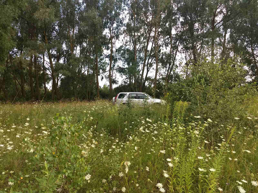 участок под застройку 17,5 соток в с. Семиполки, ул. Есенина Бровари - зображення 5