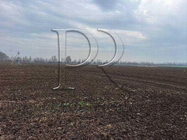 продажа участок под жилую застройку Бориспольский, Борисполь, 9000 $ Бориспіль - зображення 9