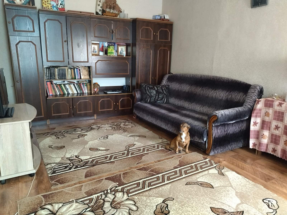 Продам пол дома на Красночечеловской Днепр - изображение 4