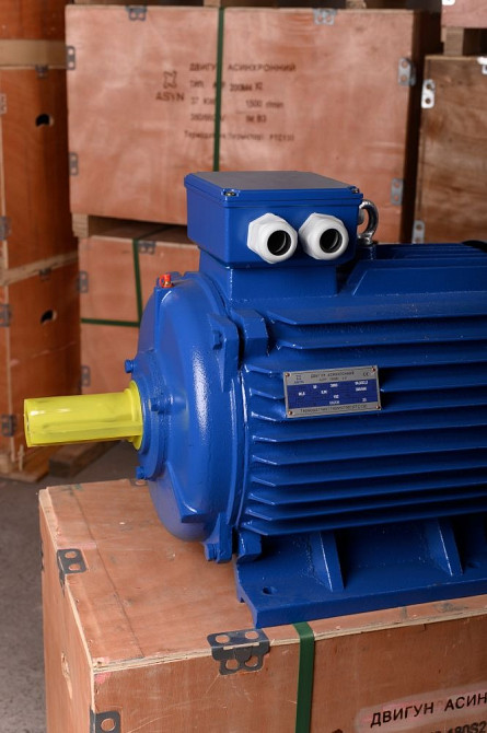 АИР200М6 електродвигун 22 кВт 1000 об/хв IM1081 Черкаси - зображення 2